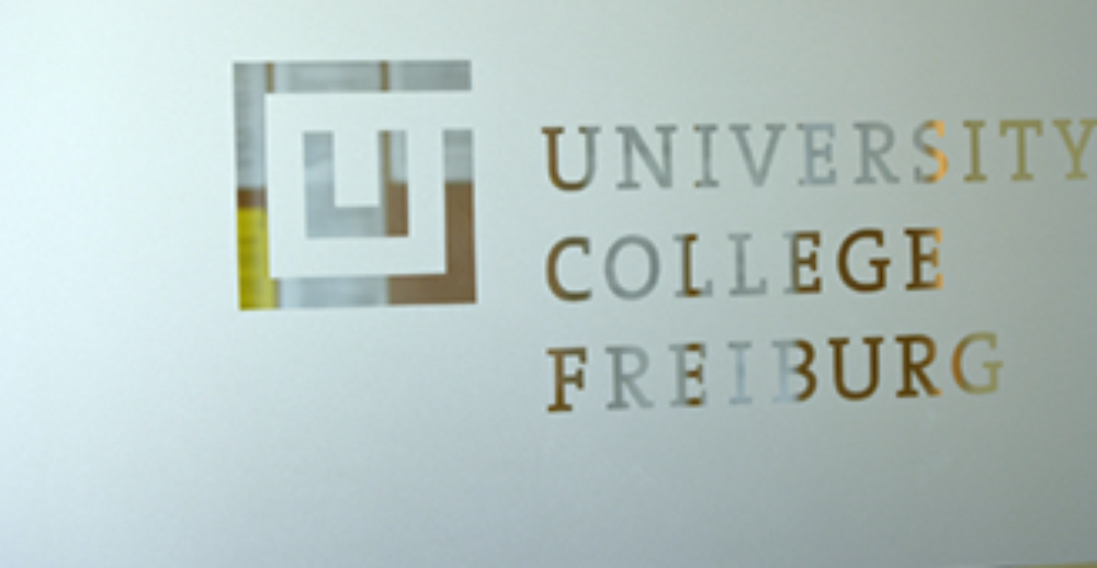 Call for applications: International Marie S. Curie FRIAS COFUND Fellowship Programme (FCFP) 2019/20